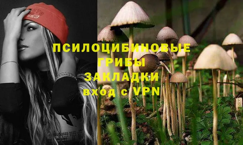 цена наркотик  Омск  сайты даркнета телеграм  Галлюциногенные грибы Cubensis 